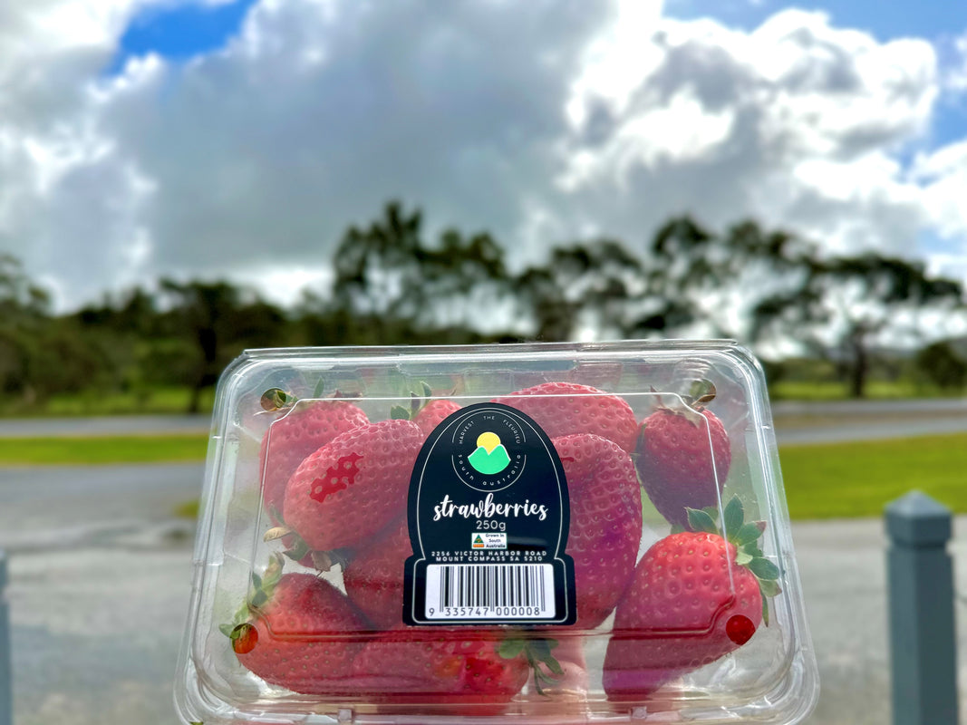 HTF Strawberries